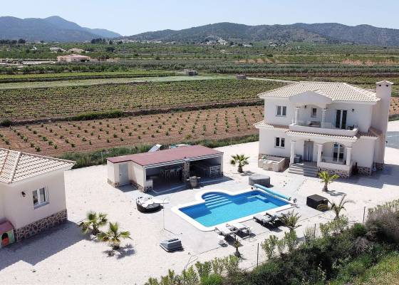 Villa - Nueva construcción  - Pinoso - Pinoso