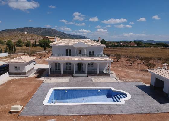 Villa - Nueva construcción  - Pinoso - Pinoso