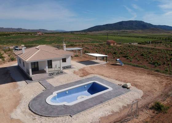 Villa - Nueva construcción  - Pinoso - Pinoso