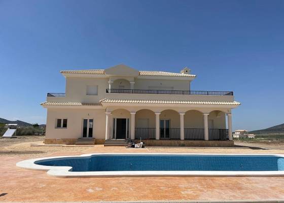 Villa - Nueva construcción  - Pinoso - Pinoso