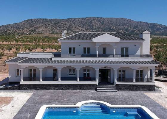 Villa - Nueva construcción  - Pinoso - Pinoso