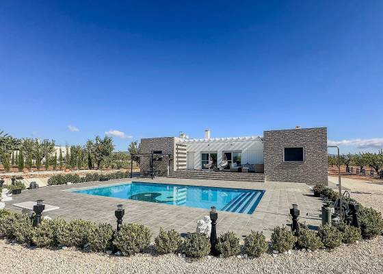 Villa - Nueva construcción  - Pinoso - Pinoso