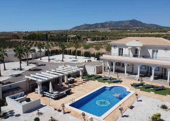 Villa - Nueva construcción  - Pinoso - Pinoso