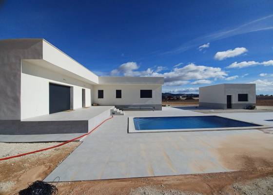 Villa - Nueva construcción  - Pinoso - Pinoso