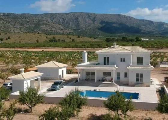 Villa - Nueva construcción  - Pinoso - Pinoso