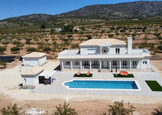 Villa - Nueva construcción  - Pinoso - Pinoso