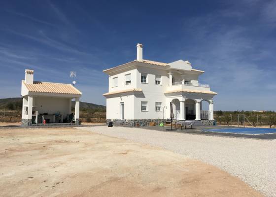 Villa - Nueva construcción  - Pinoso - Pinoso