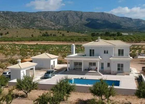 Villa - Nueva construcción  - Pinoso - Pinoso