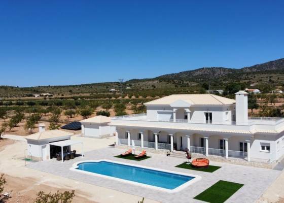 Villa - Nueva construcción  - Pinoso - Pinoso