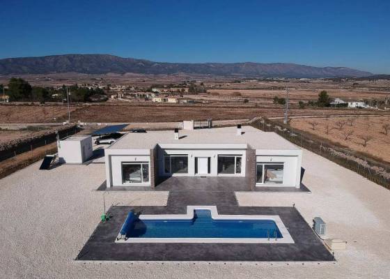 Villa - Nueva construcción  - Pinoso - Pinoso