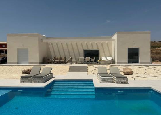 Villa - Nueva construcción  - Pinoso - Rodriguillo