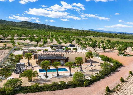 Villa - Revente - Salinas - Salinas