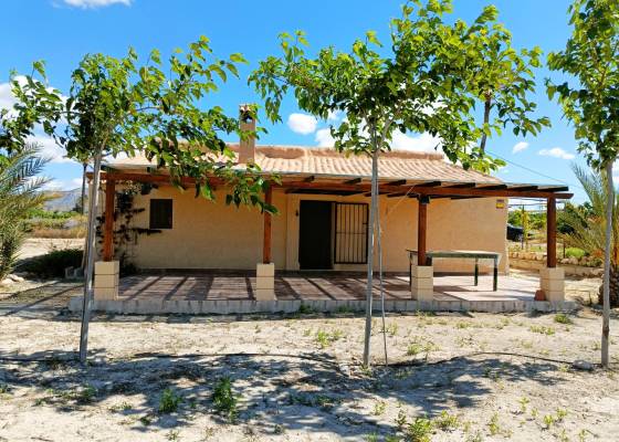 Villa - Venta - Abanilla - AM-MAHOYA