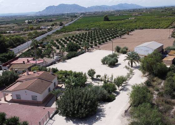 Villa - Wederverkoop - Crevillente - Crevillente