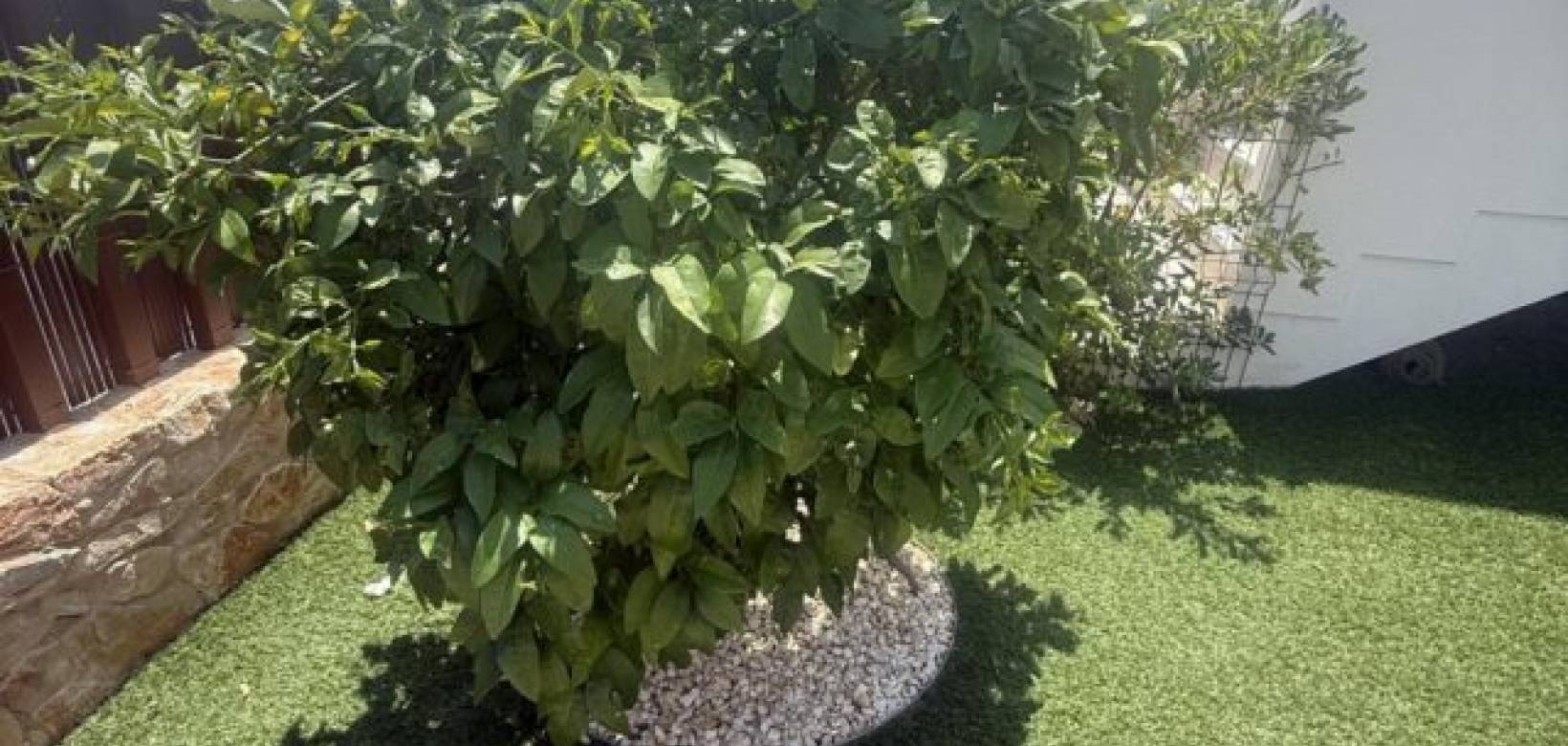 Wederverkoop - Appartement - Vistabella golf Los Montesinos