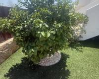 Wederverkoop - Appartement - Vistabella golf Los Montesinos