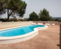 Wederverkoop - Commercieel - Ayora