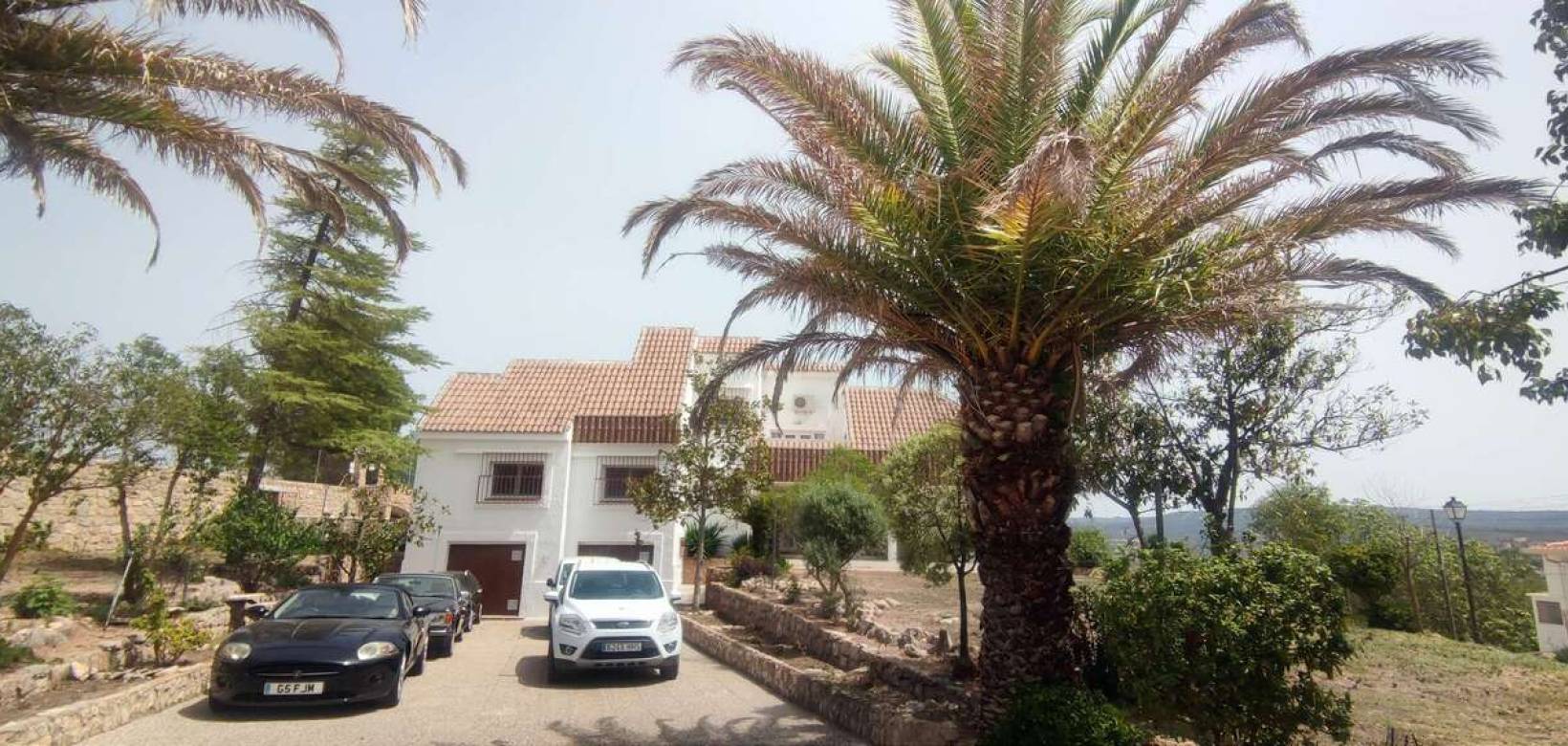 Wederverkoop - Commercieel - Ayora