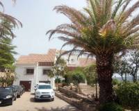 Wederverkoop - Commercieel - Ayora