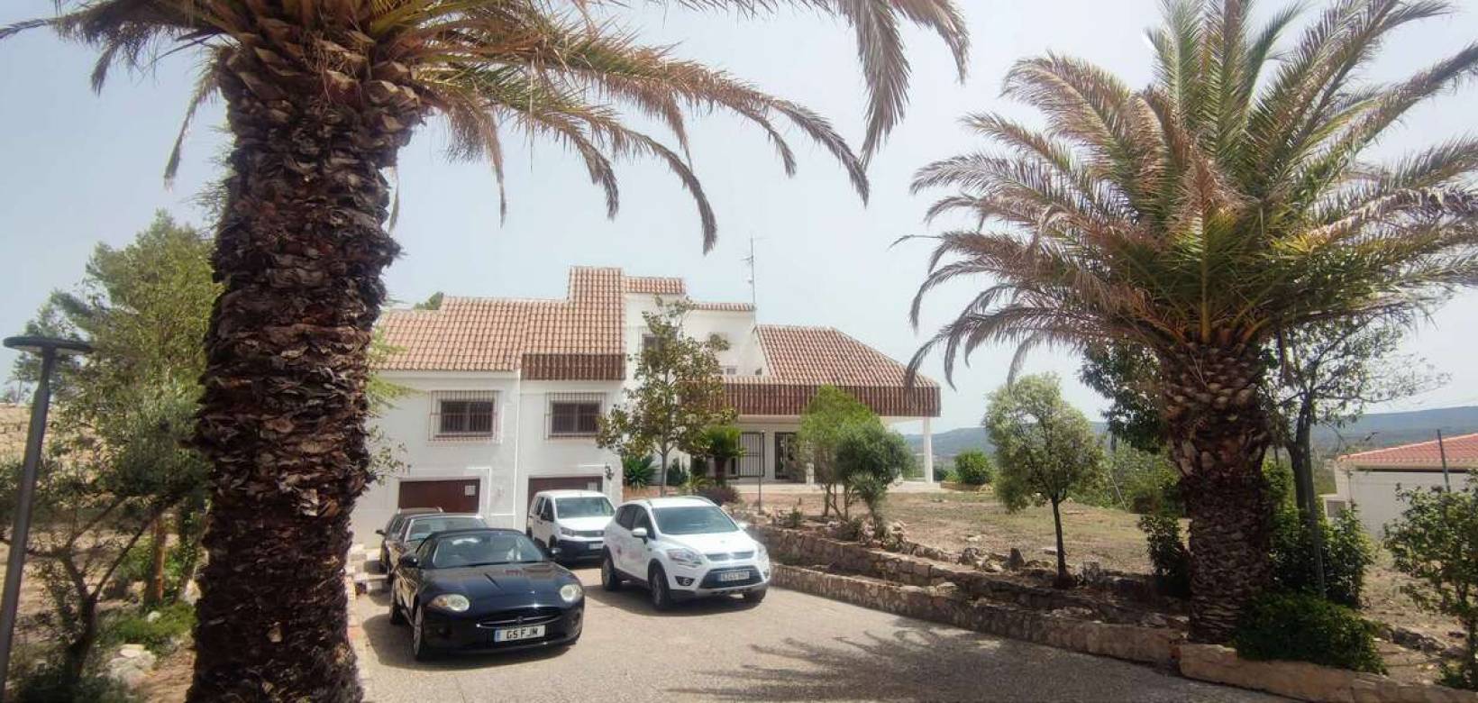 Wederverkoop - Commercieel - Ayora