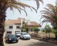 Wederverkoop - Commercieel - Ayora