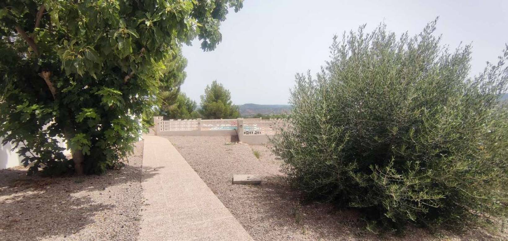 Wederverkoop - Commercieel - Ayora