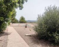 Wederverkoop - Commercieel - Ayora