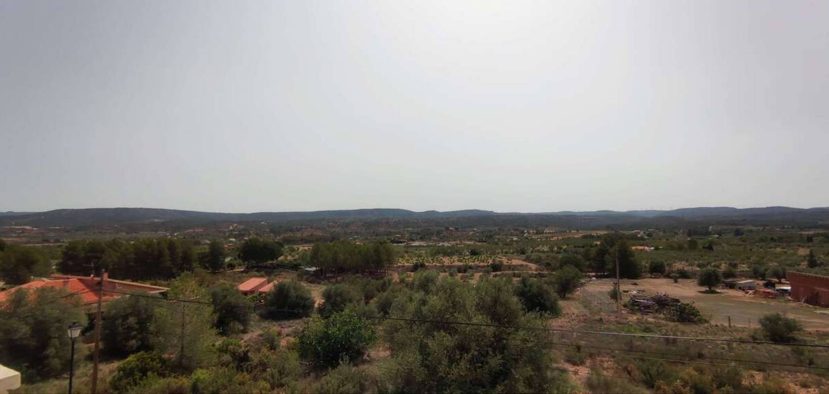 Wederverkoop - Commercieel - Ayora