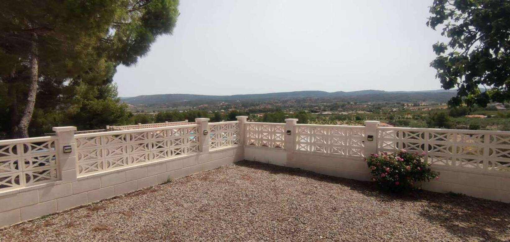 Wederverkoop - Commercieel - Ayora