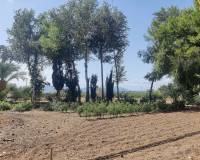 Wederverkoop - Country house - Crevillente