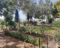 Wederverkoop - Country house - Crevillente