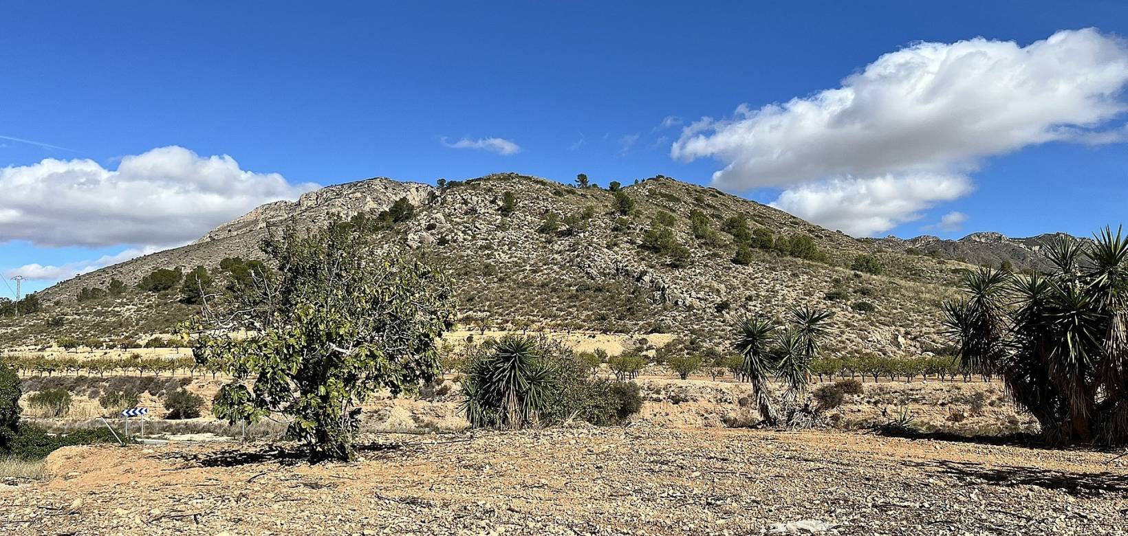 Wederverkoop - Country house - El Cantón - 