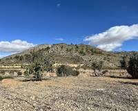 Wederverkoop - Country house - El Cantón - 