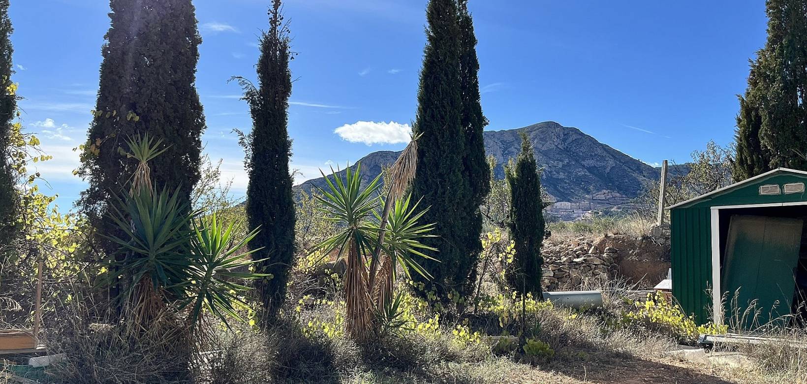 Wederverkoop - Country house - El Cantón - 