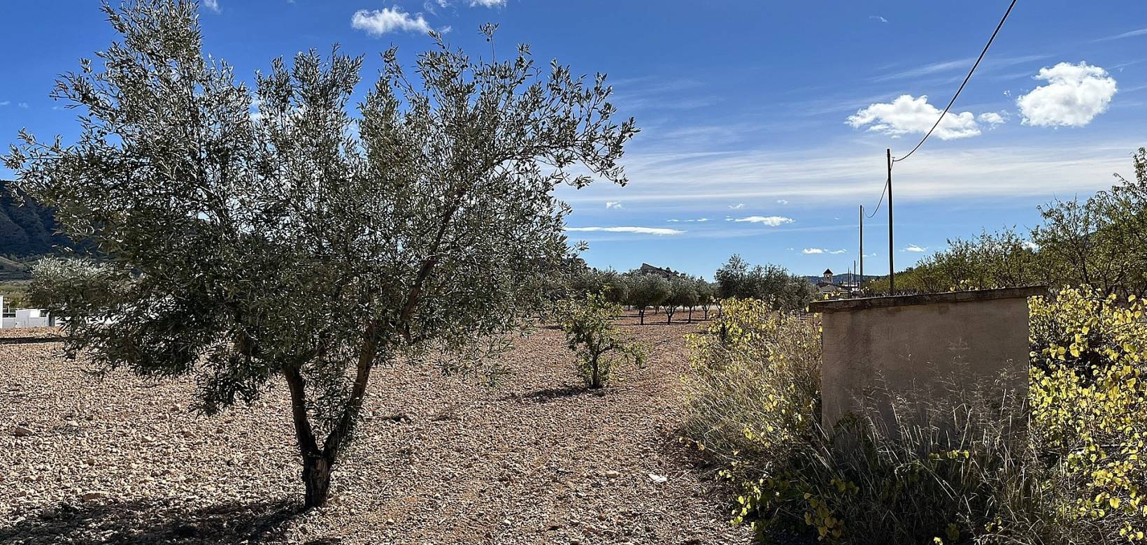 Wederverkoop - Country house - El Cantón - 