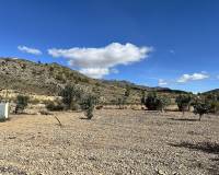 Wederverkoop - Country house - El Cantón - 