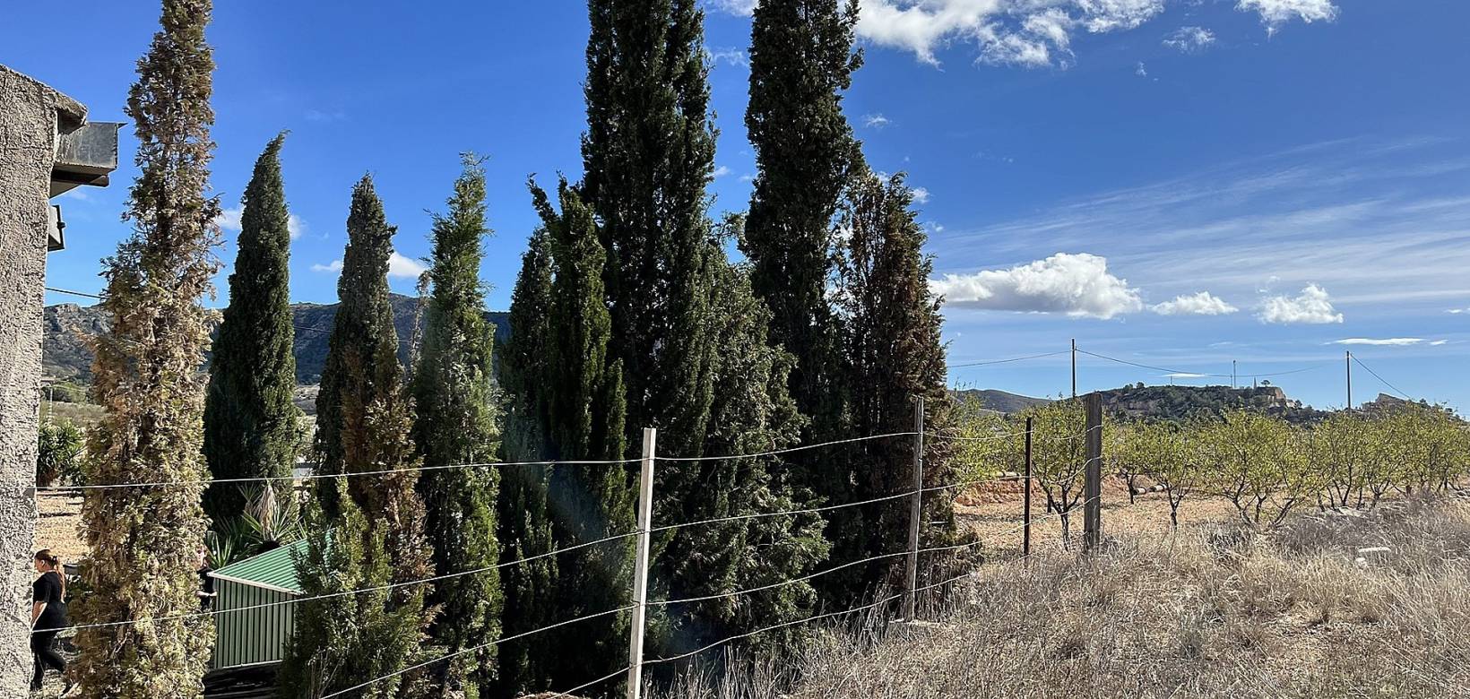 Wederverkoop - Country house - El Cantón - 