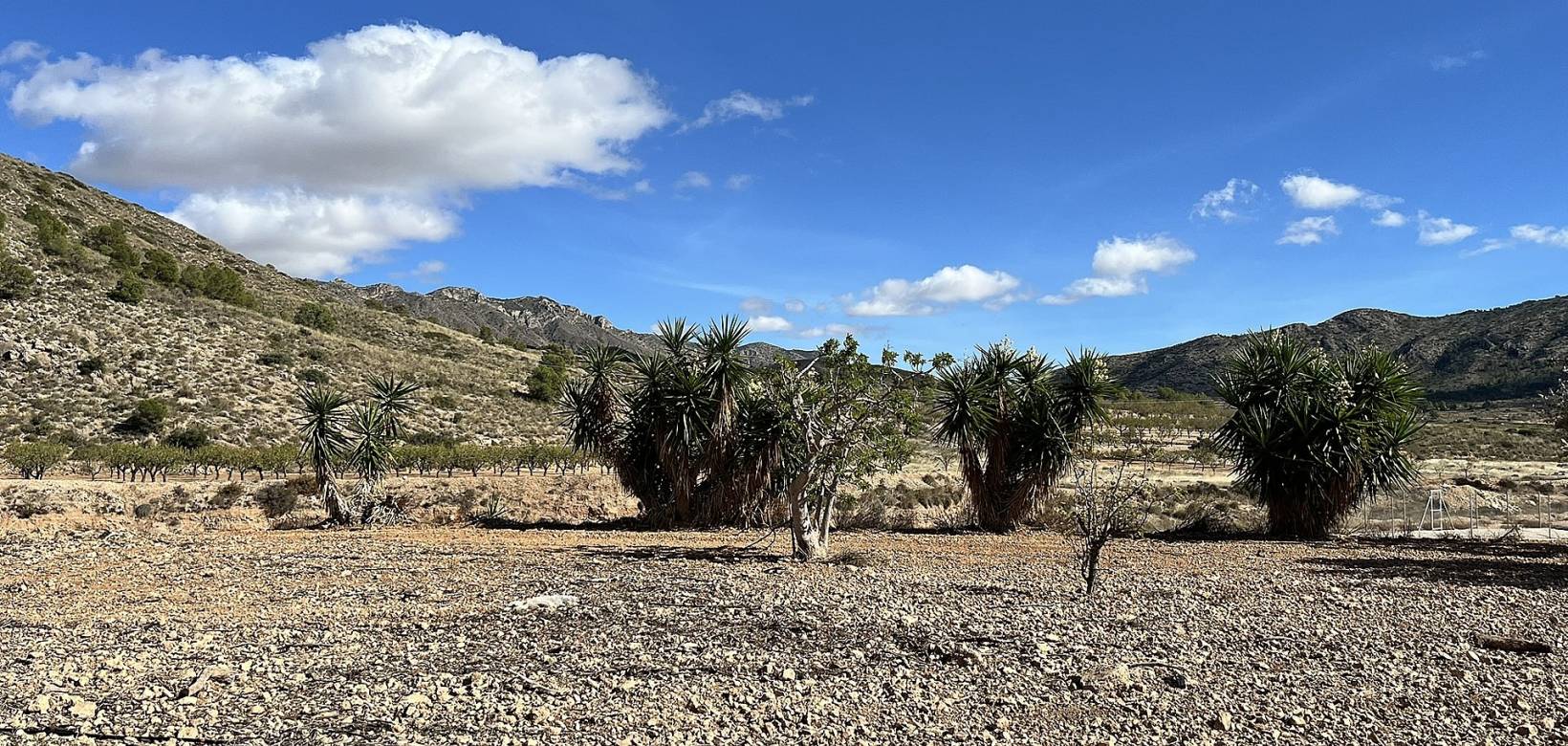 Wederverkoop - Country house - El Cantón - 