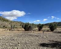 Wederverkoop - Country house - El Cantón - 