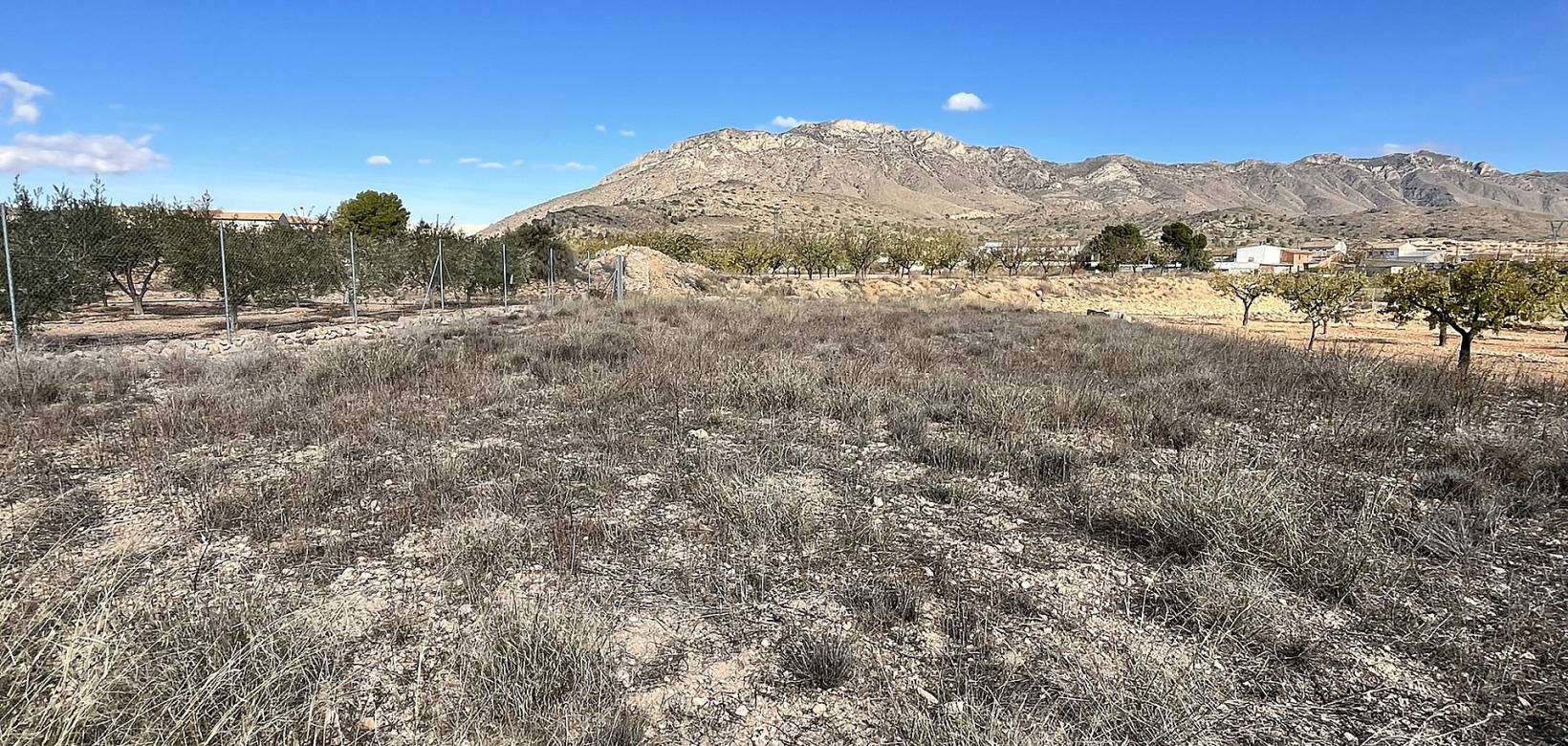 Wederverkoop - Country house - El Cantón - 