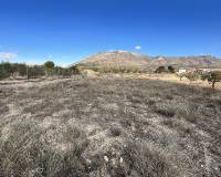 Wederverkoop - Country house - El Cantón - 