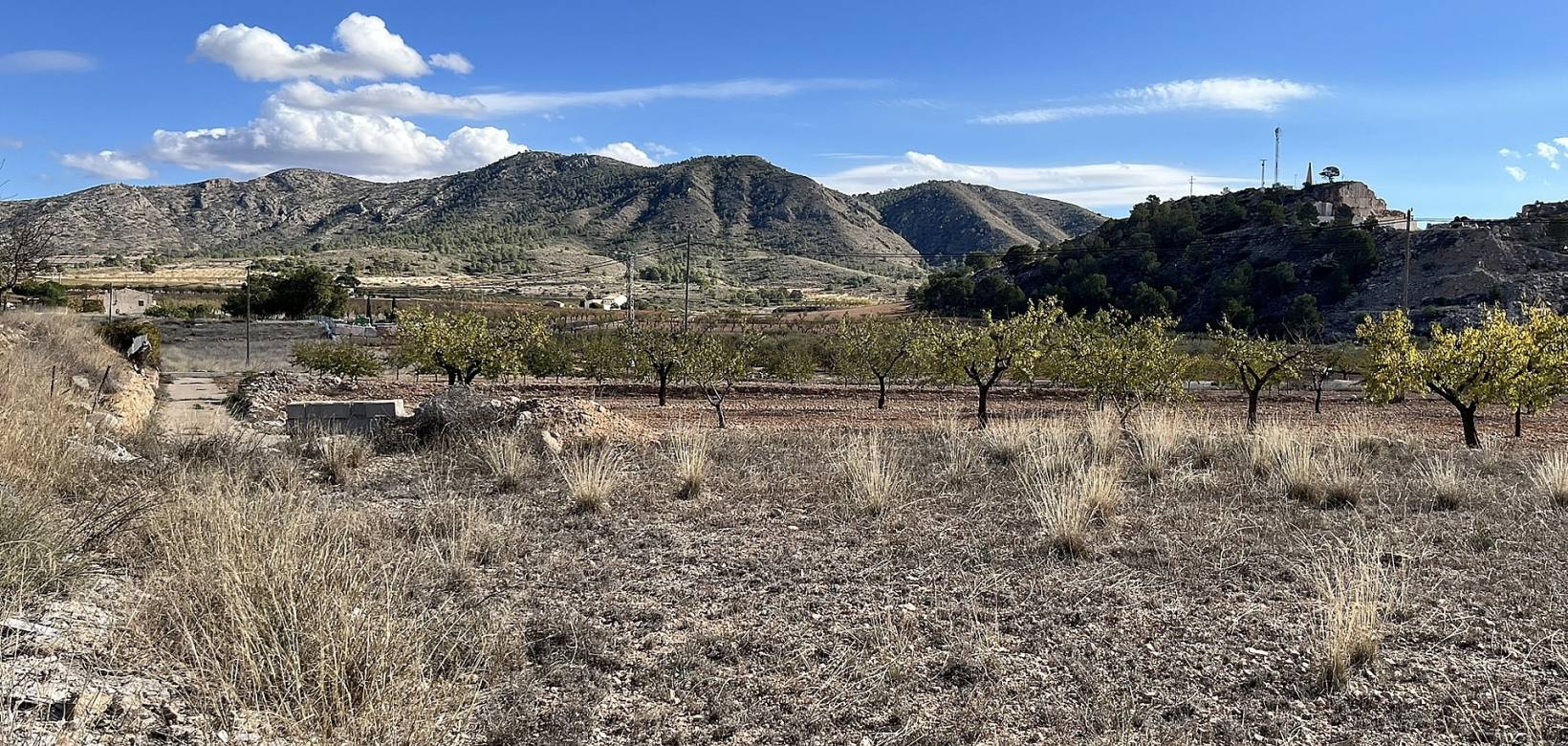 Wederverkoop - Country house - El Cantón - 