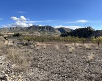 Wederverkoop - Country house - El Cantón - 