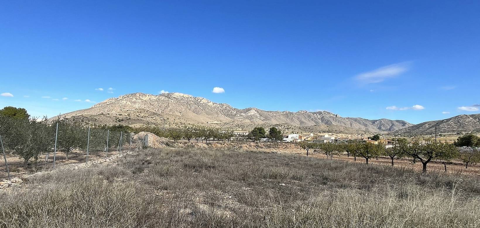 Wederverkoop - Country house - El Cantón - 