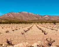 Wederverkoop - Country house - El Cantón - 