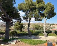 Wederverkoop - Country house - Elche - 
