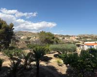 Wederverkoop - Country house - Elche - 