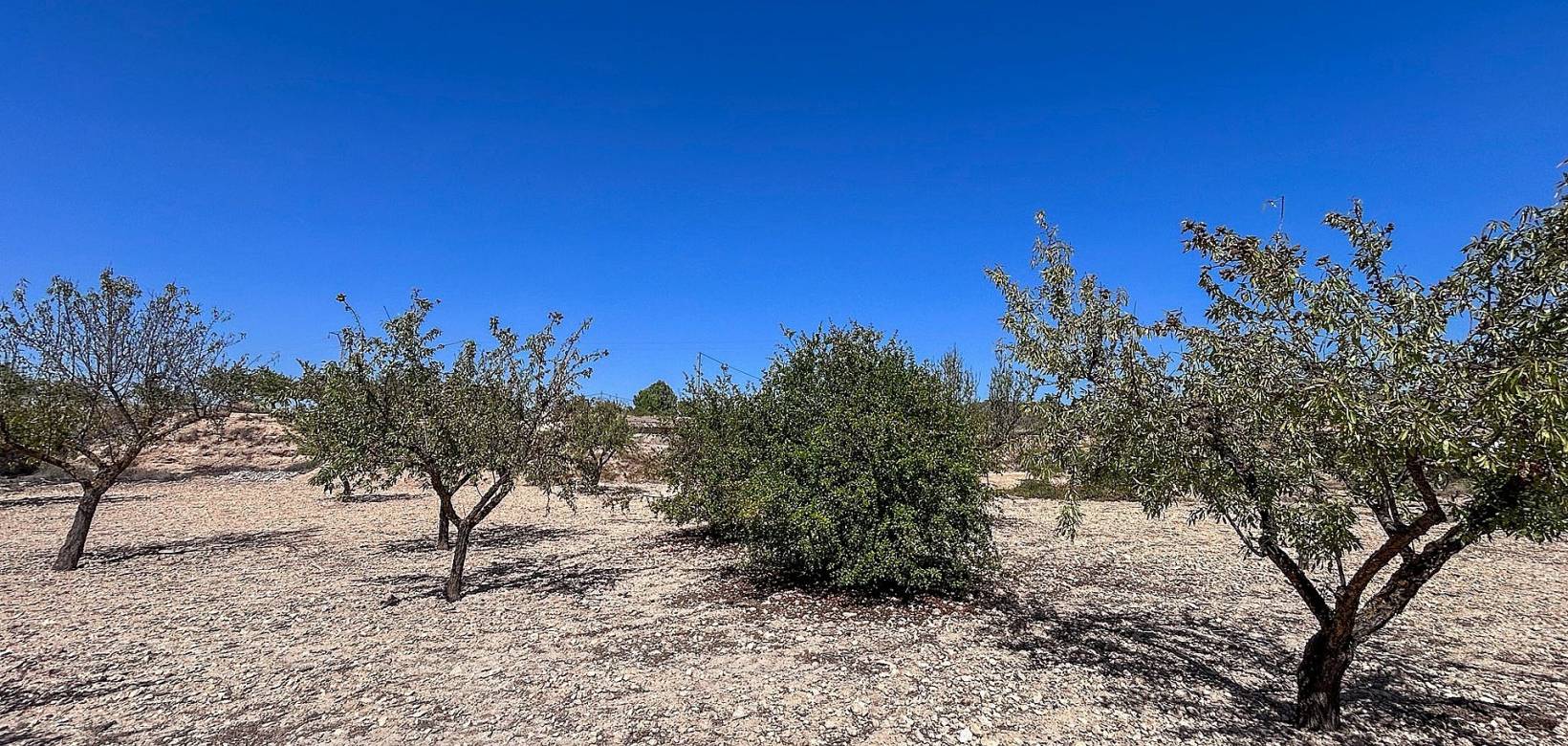 Wederverkoop - Country house -  - Monovar