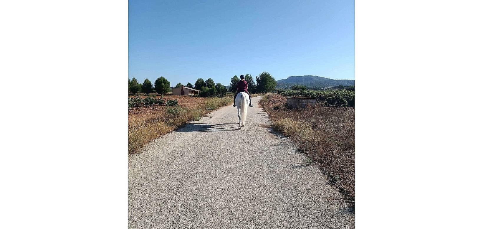 Wederverkoop - Country house -  - Monovar