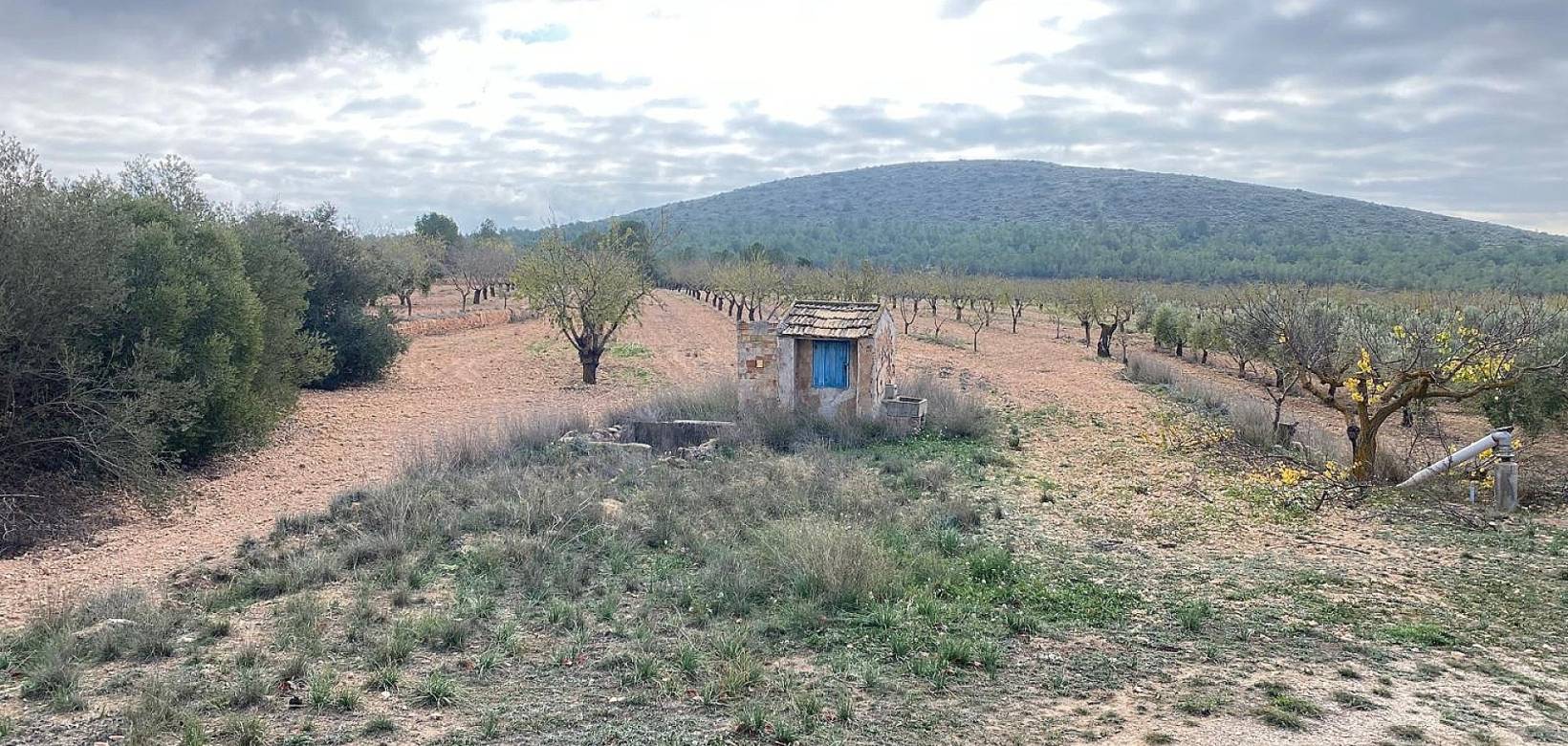 Wederverkoop - Country house - Pinoso - 